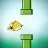 Flippy Bird - Flying bird