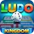 Ludo Kingdom Online Board Game