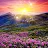Hidden Object: Summer Serenity