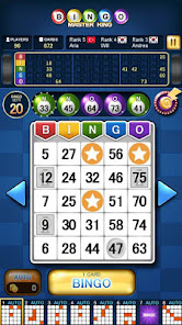 Bingo Master King Guide