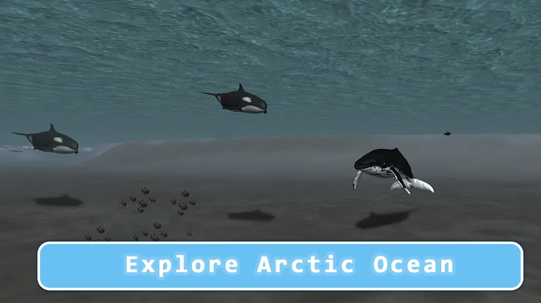Killer Whale Orca Simulator All Versions | Simulation Game Archives ...