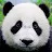 Animals for kids - Zoo Quiz