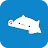 Bongo Cat Musical Instruments