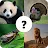 Animals Quiz