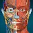 Anatomy Learning - 3D Anatomy