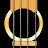 Bass Guitar Solo