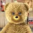 Talking Teddy Bear