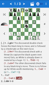 Encyclopedia Chess Informant 2