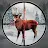 Wild Deer Hunting Games 3D