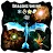 Dragons Online 3D Multiplayer