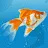 AquaLife 3D