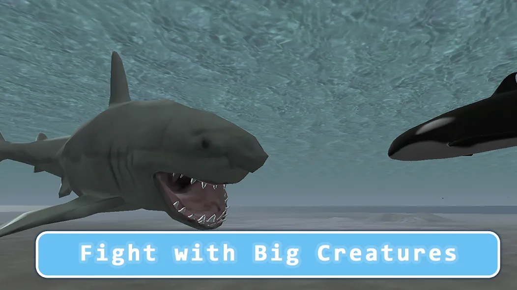 Killer Whale Orca Simulator All Versions | Simulation Game Archives ...